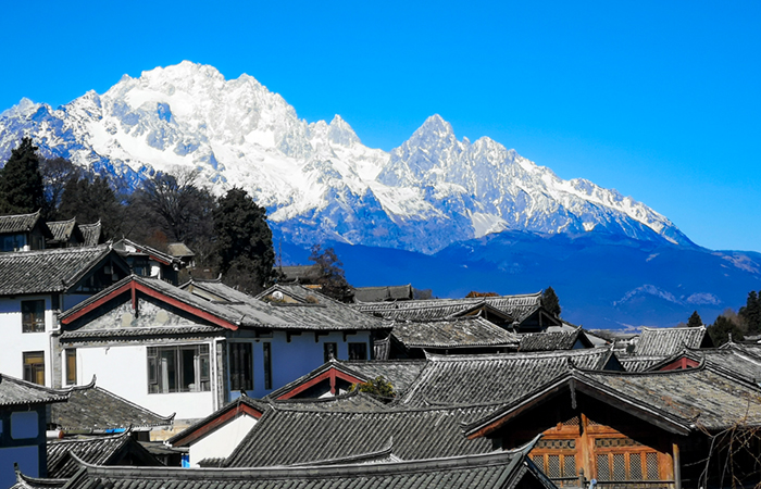 （小圖）丁娜：雪山白馬 星河長(cháng)明1.jpg